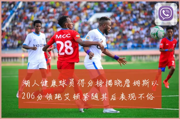 湖人健康球员得分榜揭晓詹姆斯以206分领跑艾顿紧随其后表现不俗